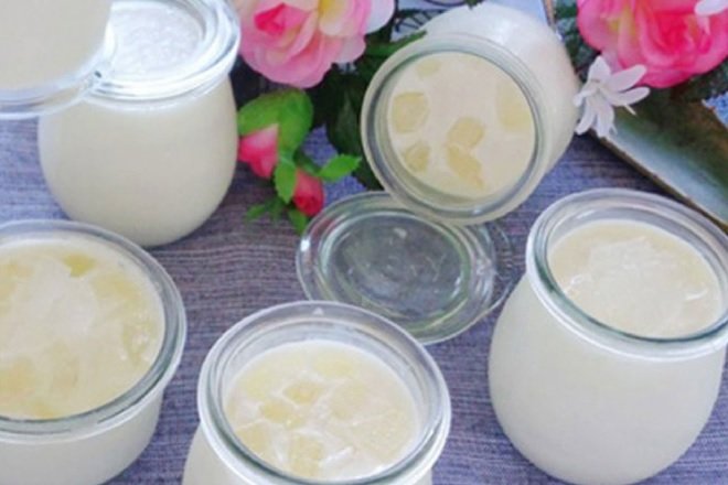 cách làm sữa chua nha đam