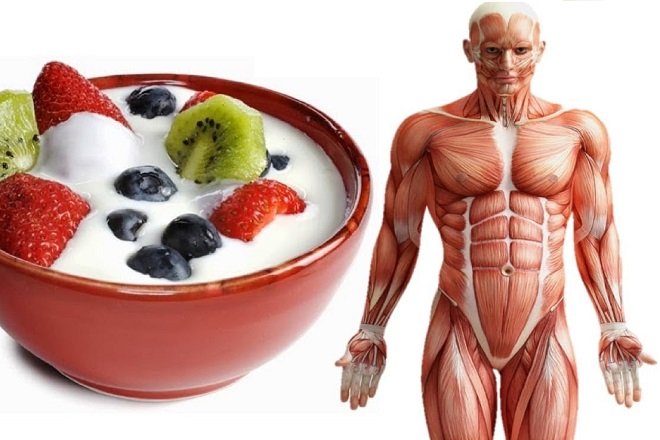 lợi ích của sữa chua với sức khỏe
