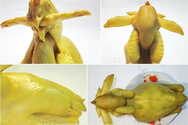 cách luộc gà cúng kiểu gà chầu