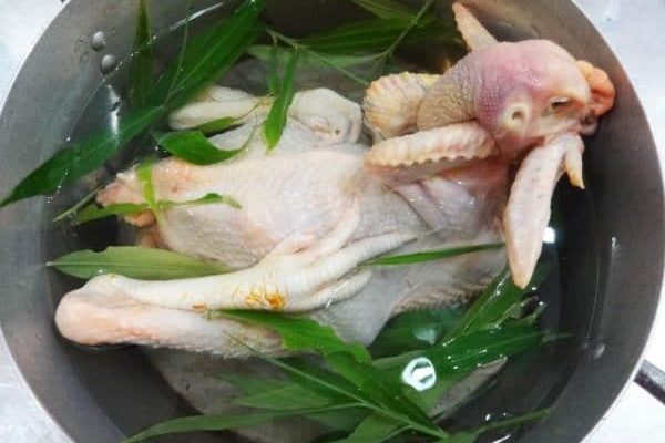 cho gà vào nồi