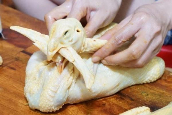 tạo hình gà