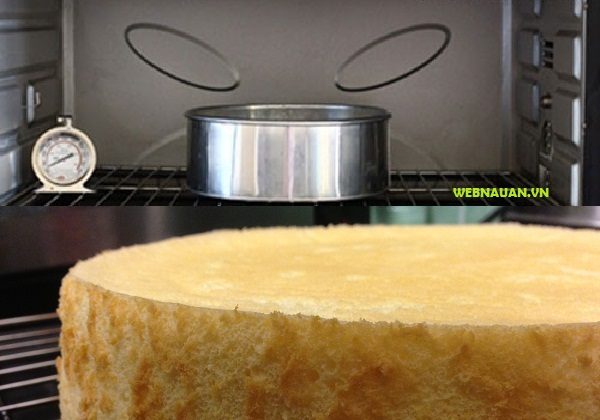 cách làm bánh bông lan bằng lò vi sóng