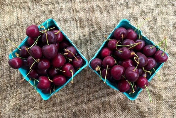 cherry tươi