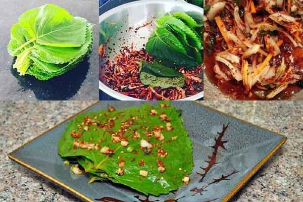 cách làm kim chi hàn quốc với lá tía tô