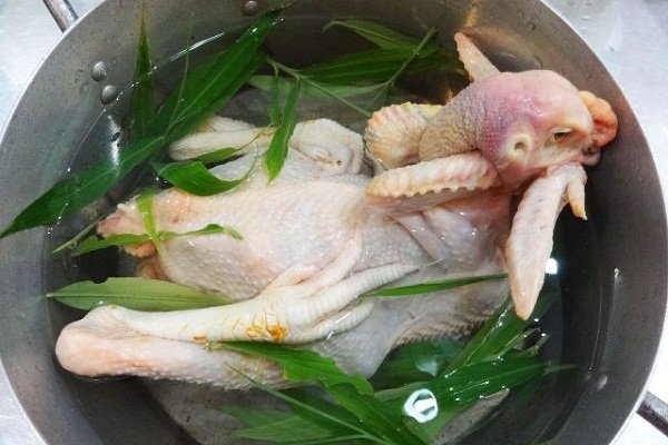 cho gà vào nồi luộc