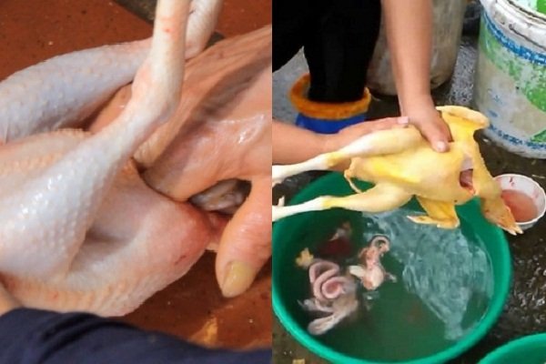 moi nội tạng gà
