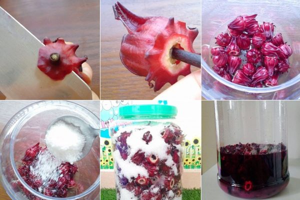 cách ngâm hoa atiso đỏ làm mứt dừa non