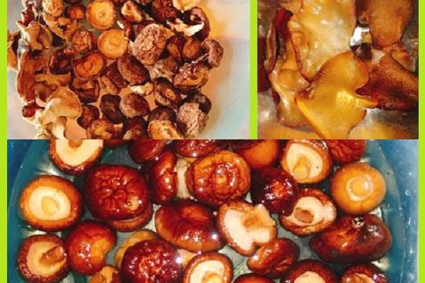 ngâm nấm mộc nhĩ, nấm hương ướp dầu hào