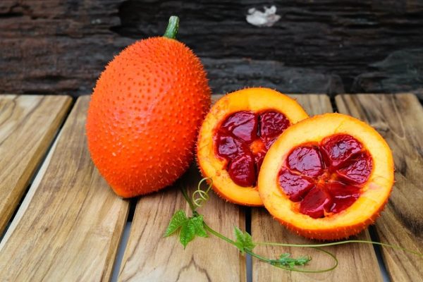 trái gấc