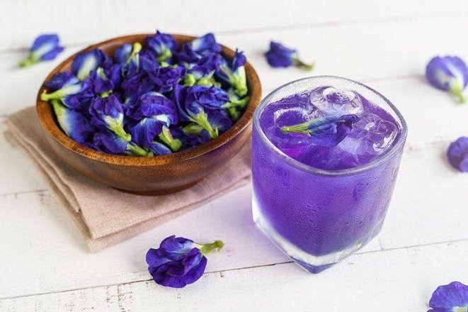 nước cốt hoa đậu biếc