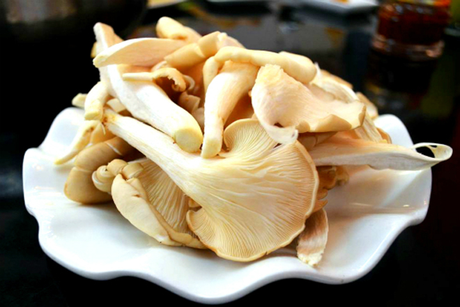 nấm sò