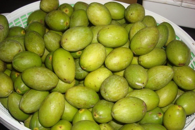 rổ cà na già