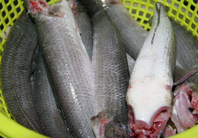sơ chế cá