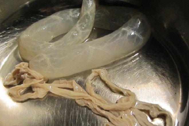 sơ chế lòng non trước khi nhồi thịt