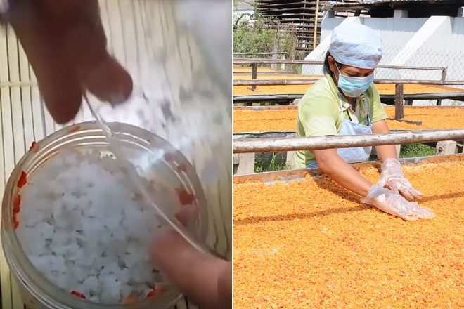 trộn muối với cà rốt xay, phơi khô