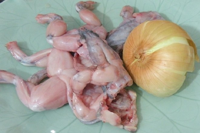 cách sơ chế thịt ếch