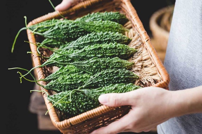 công dụng của khổ qua