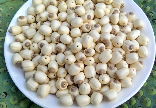hạt sen tươi