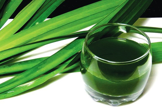 lá dứa