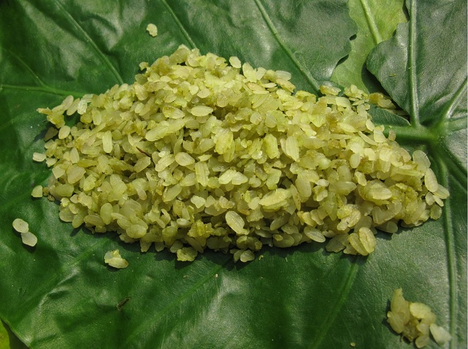nguyên liệu cốm