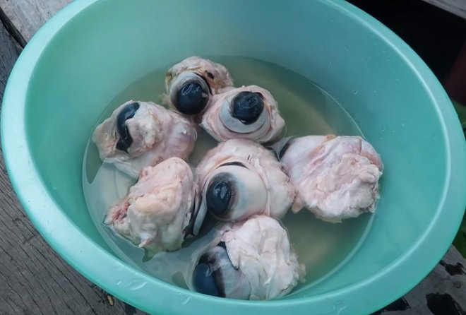 nguyên liệu mắt bò sống