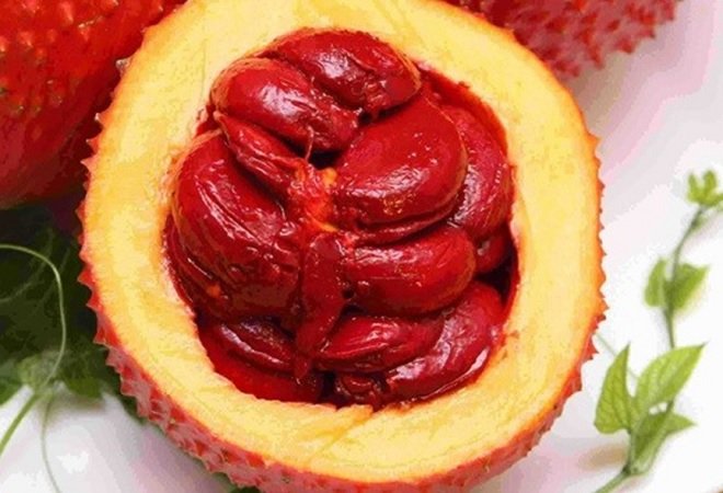 nguyên liệu thịt gấc tạo màu đỏ tự nhiên cho xôi